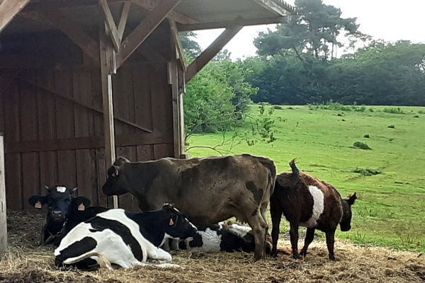 Ferme-des-rescapés